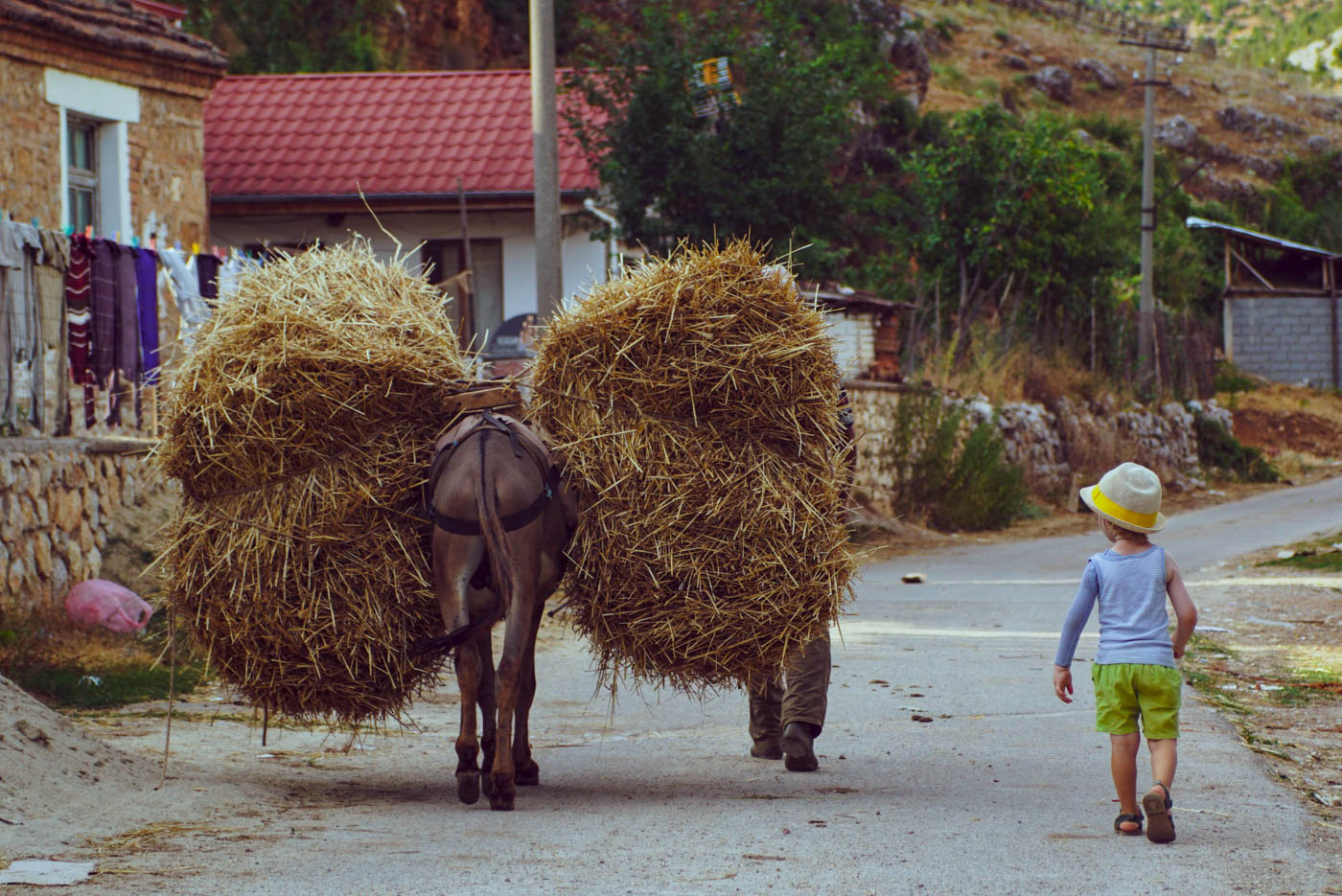 Zu sehen ist wie ein Esel schwer mit Heu beladen durch die Straßen eines kleinen Dorfes läuft. Luk läuft neben ihm her.