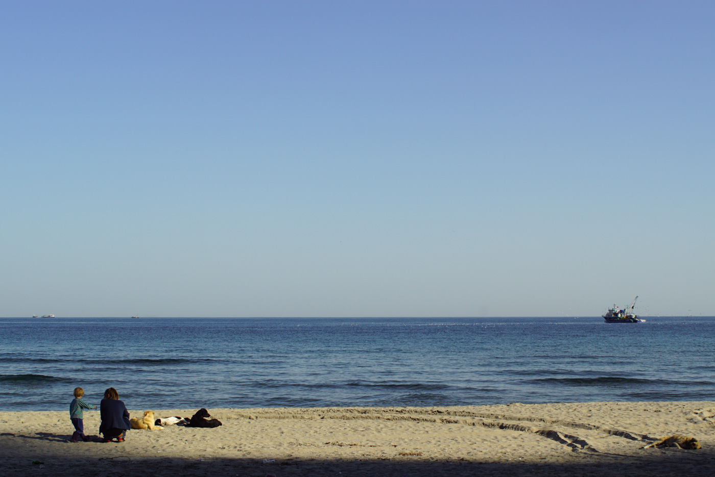 Luk steht neben Paul der in der Hocke sitzt und sie schauen aufs Meer. Neben ihnen liegen drei Hunde im Sand. Dahinter zeichnet sich das ruhige Schwarze Meer rechts am Bildrand fährt ein Fischkutter.